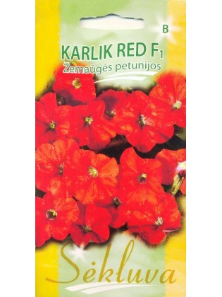 Petunia ogrodowa 'Karlik red' H, 25 nasion
