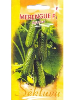 Agurkai paprastieji 'Merengue' H, 20 sėklų