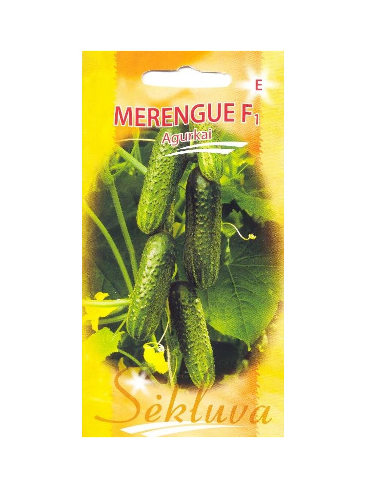 Cetriolo 'Merengue' H, 20 semi