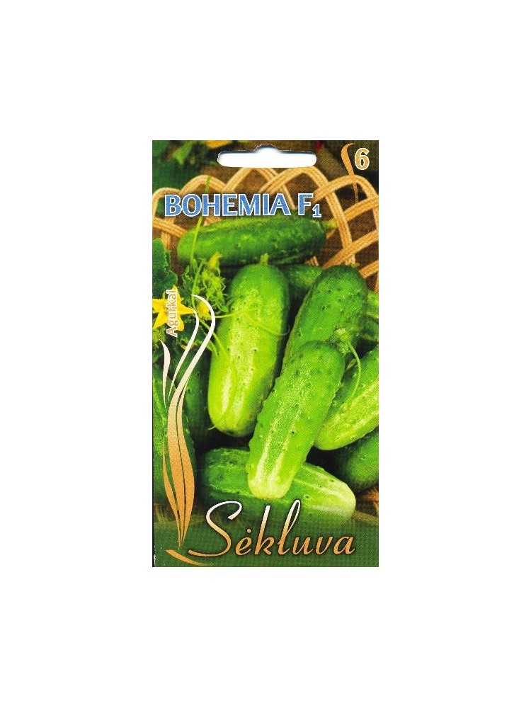 Gurke 'Bohemia' H, 1 g
