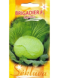 White cabbage 'Brigadier' H, 40 seeds