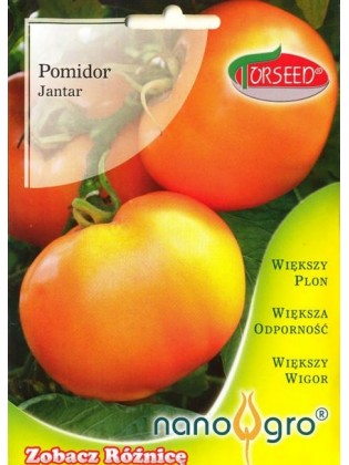 Pomidor zwyczajny 'Jantar' 0,2 g, Nano-gro