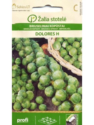 Kapusta warzywna brukselska 'Dolores' H, 1 g