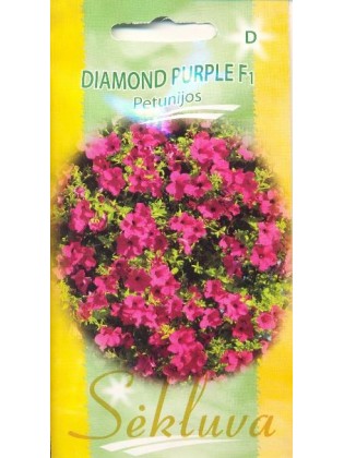 Petunia ogrodowa 'Diamond Purple' H, 10 nasion