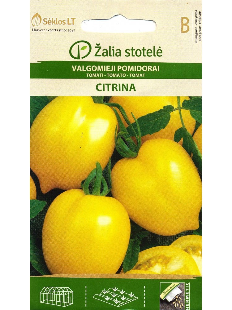 Tomat 'Citrina' 0,2 g