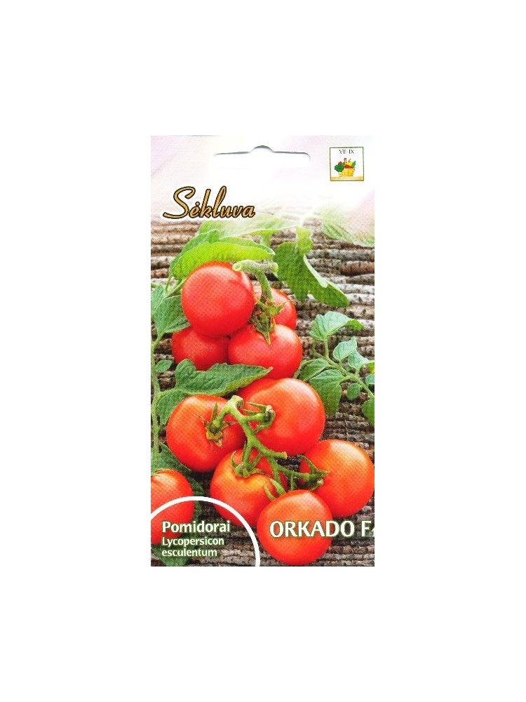 Pomidor zwyczajny 'Orkado' H, 10 nasion