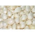 Svogūnai 'Snowball', sėjinukai, 0,5 kg, 21-24 mm