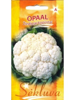 Kopūstai žiediniai 'Opaal' 30 sėklų