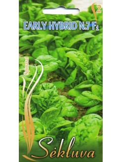 Echte Spinat 'Early Hybrid No 7' H, 5 g