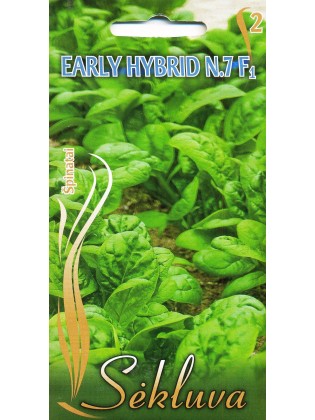 Echte Spinat 'Early Hybrid No 7' H, 5 g