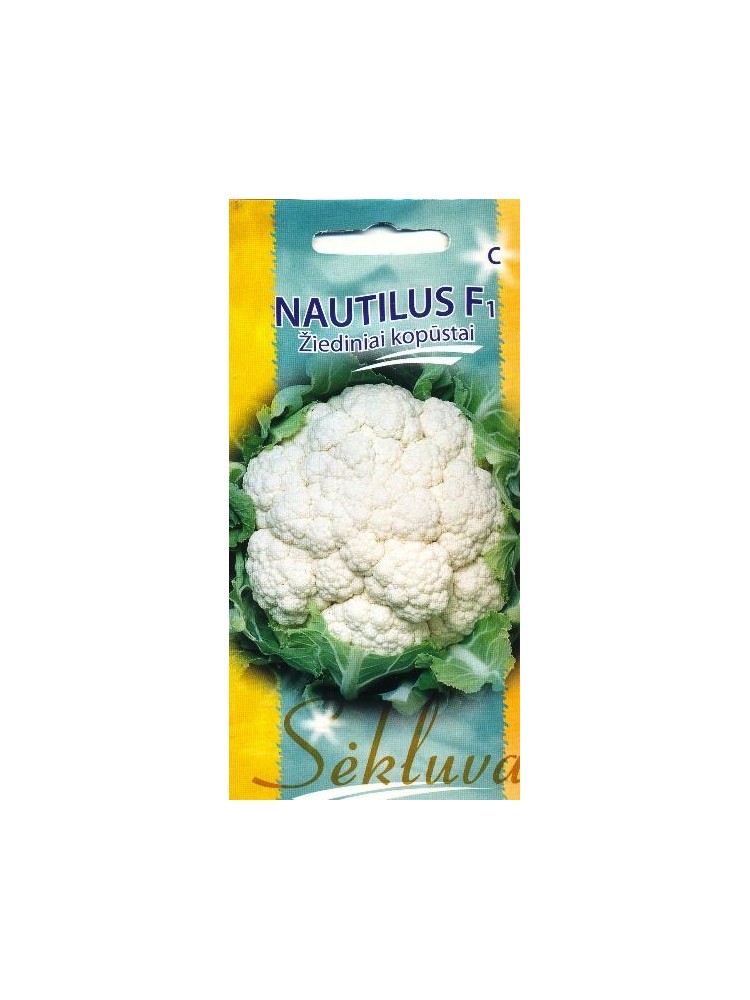 Kalafior 'Nautilus' H, 30 nasion